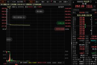 无力回天！申京20中11拿到30分16板5助4断 罚球9中8